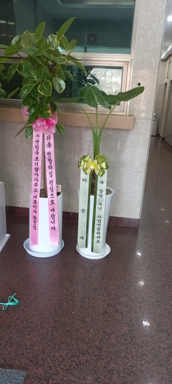 업로드 이미지