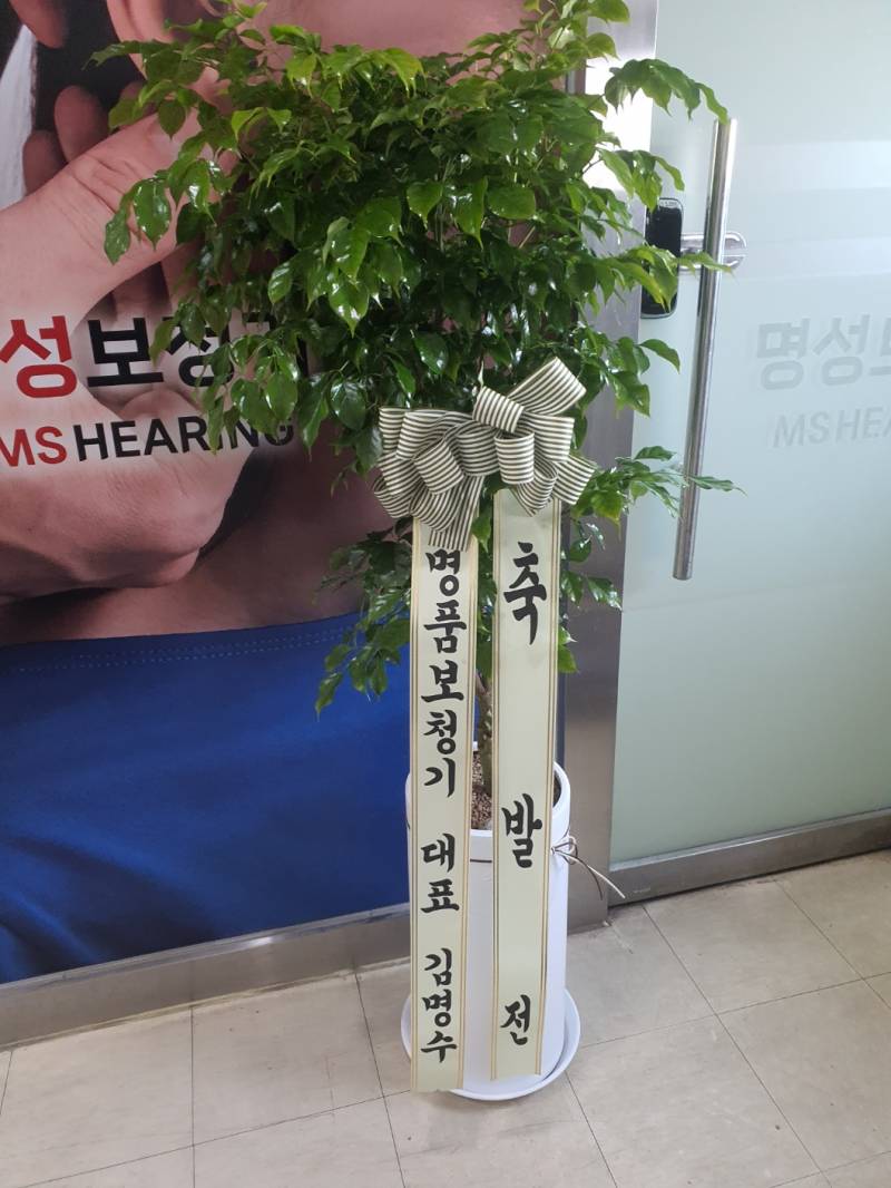 업로드 이미지