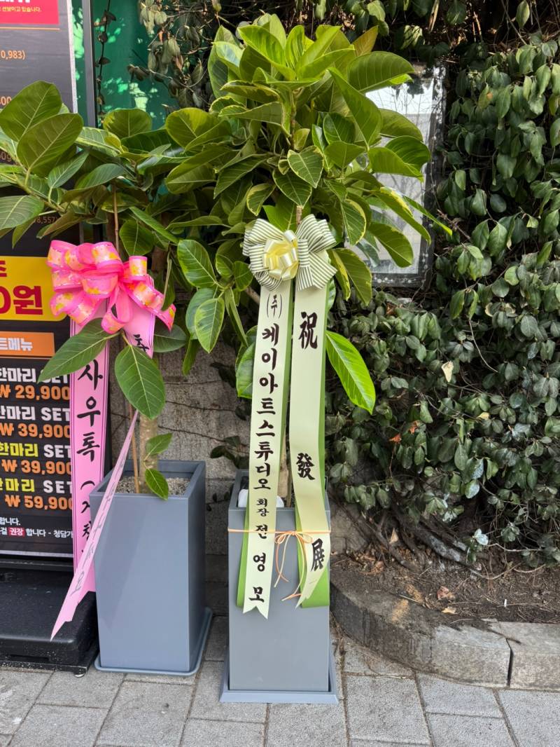 업로드 이미지
