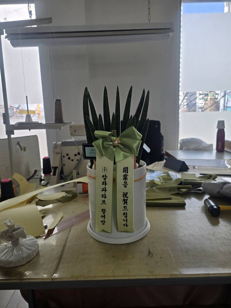 업로드 이미지