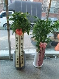 업로드 이미지