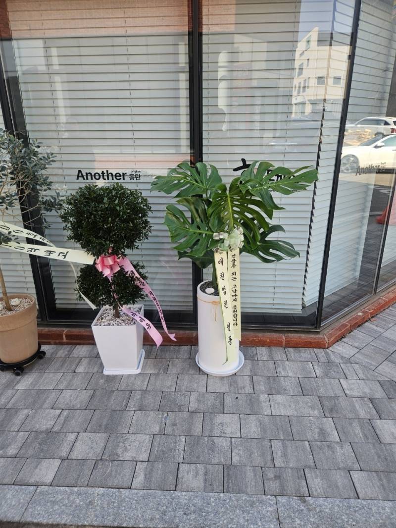 업로드 이미지