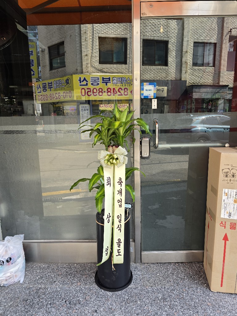 업로드 이미지