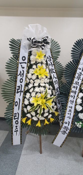 업로드 이미지