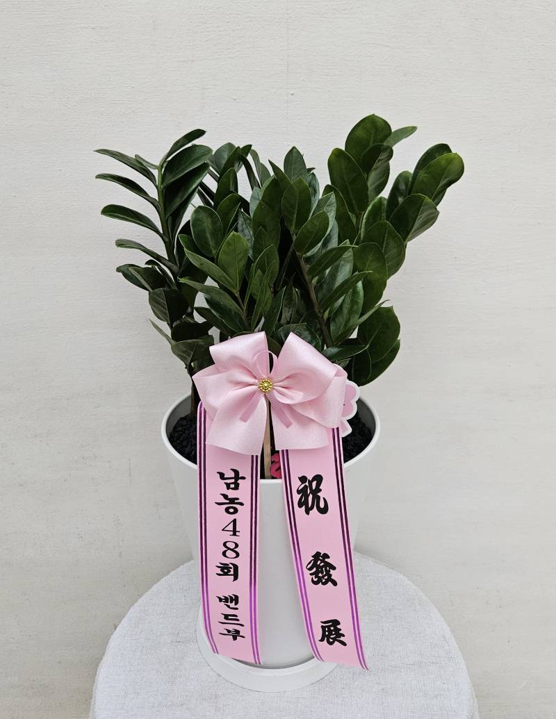 업로드 이미지