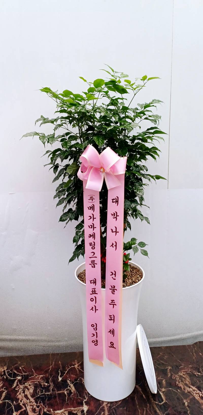 업로드 이미지
