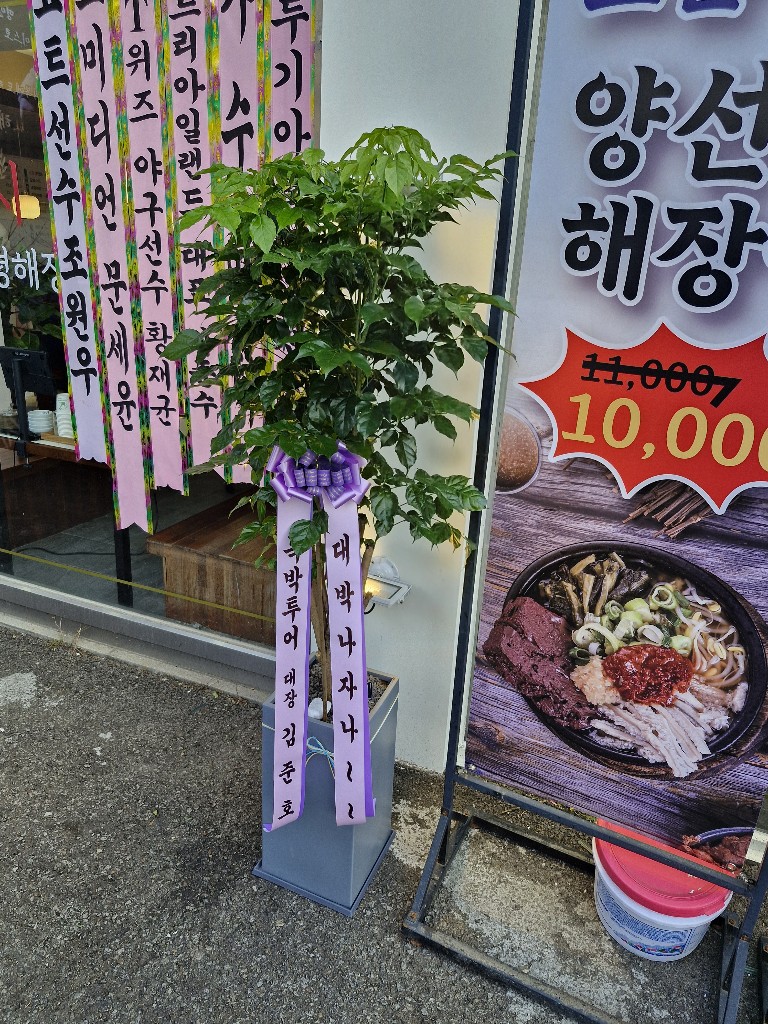 업로드 이미지