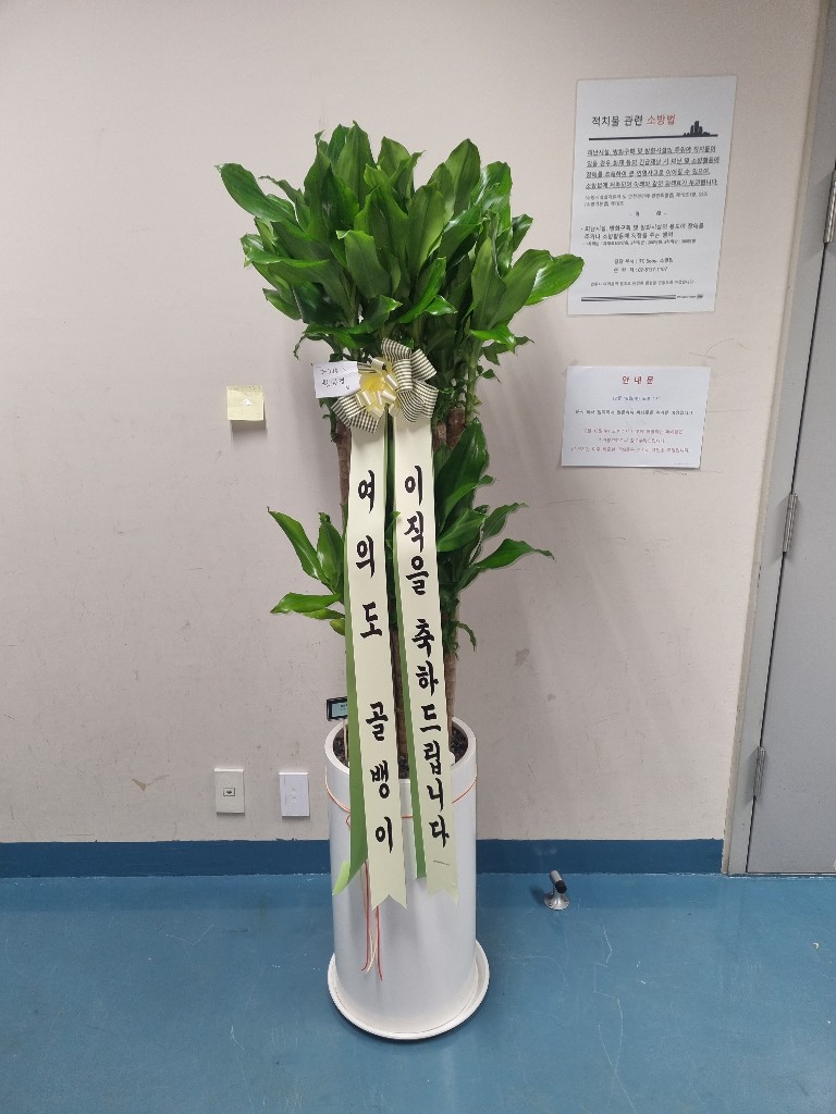 업로드 이미지
