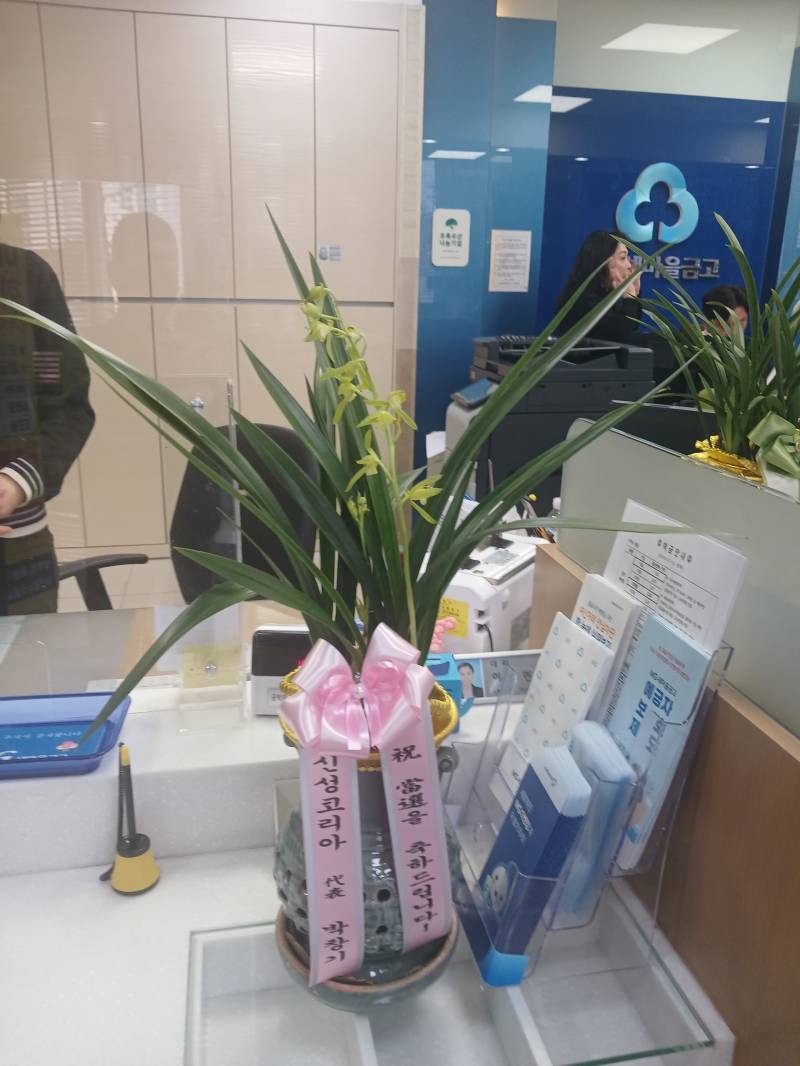 업로드 이미지