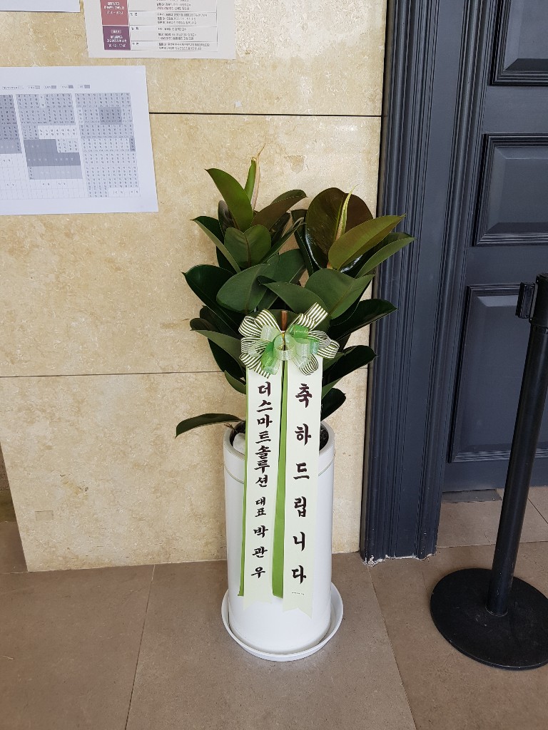 업로드 이미지
