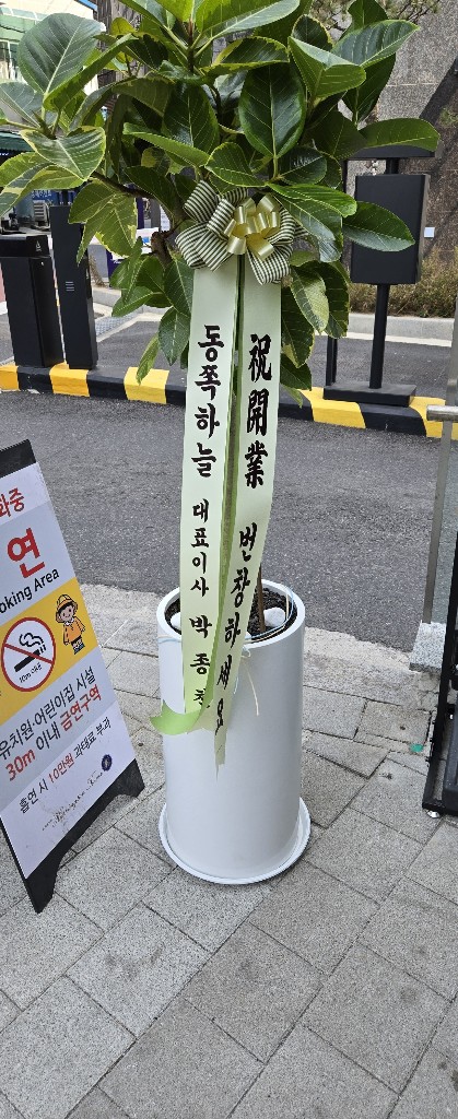 업로드 이미지