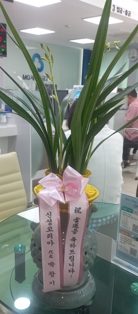 업로드 이미지