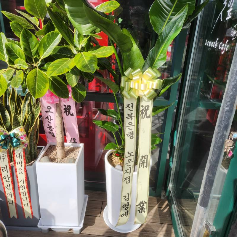 업로드 이미지