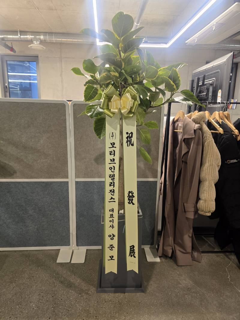 업로드 이미지