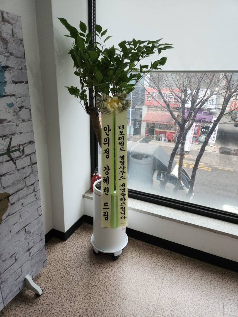 업로드 이미지