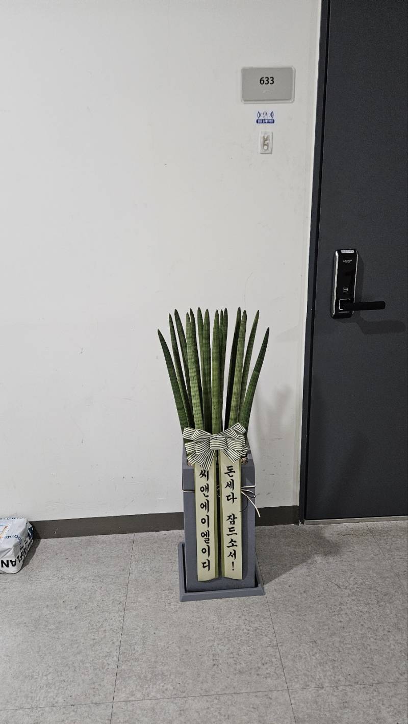 업로드 이미지
