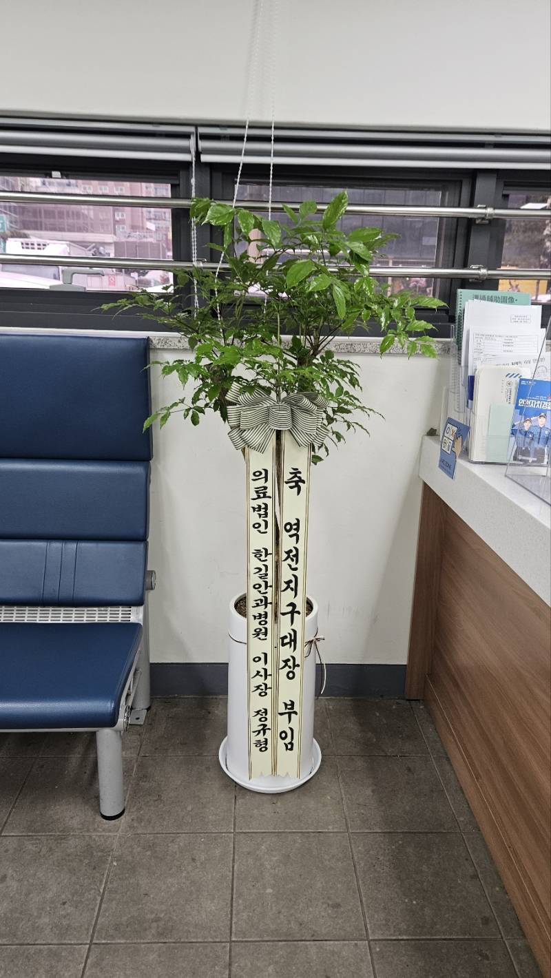 업로드 이미지