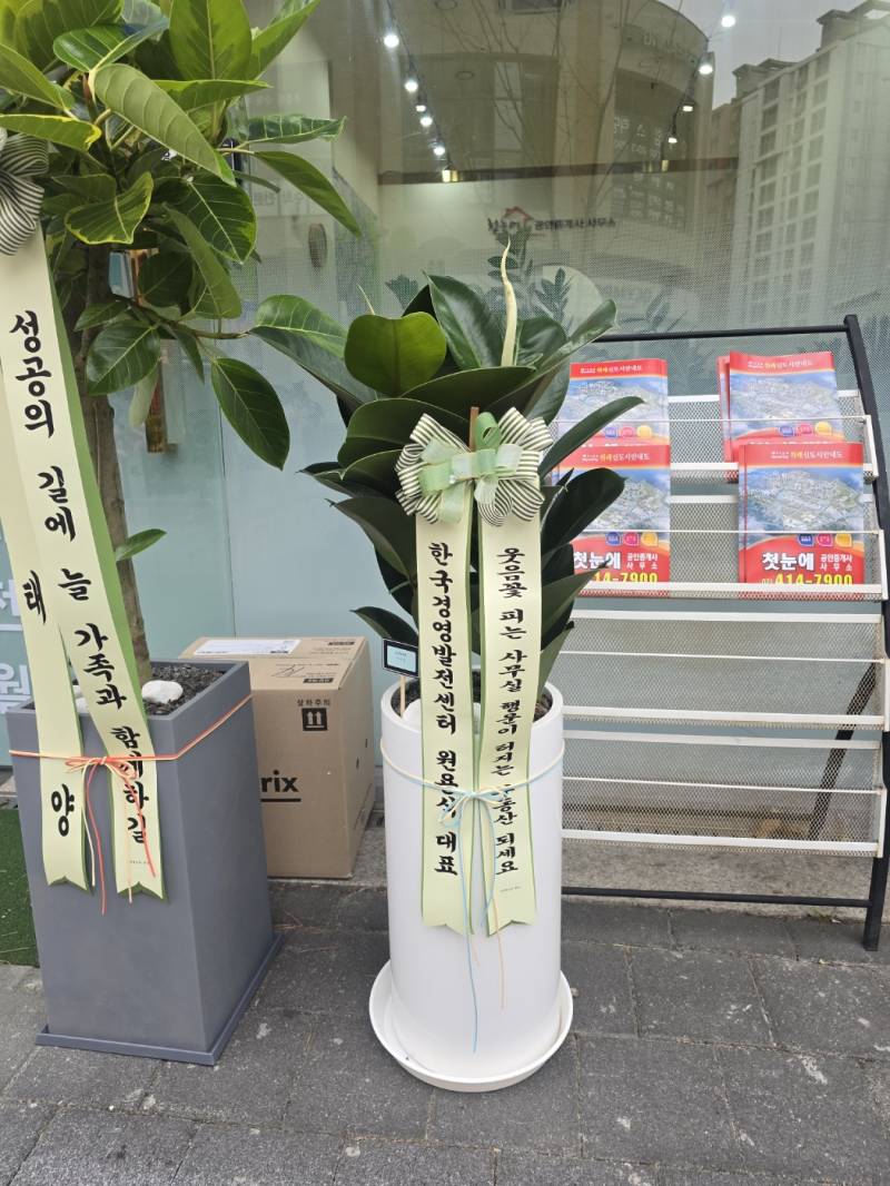 업로드 이미지