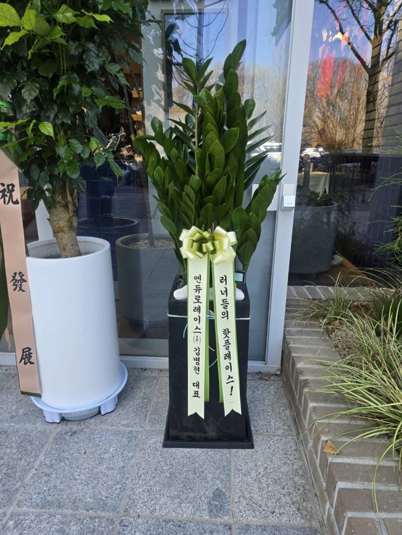 업로드 이미지