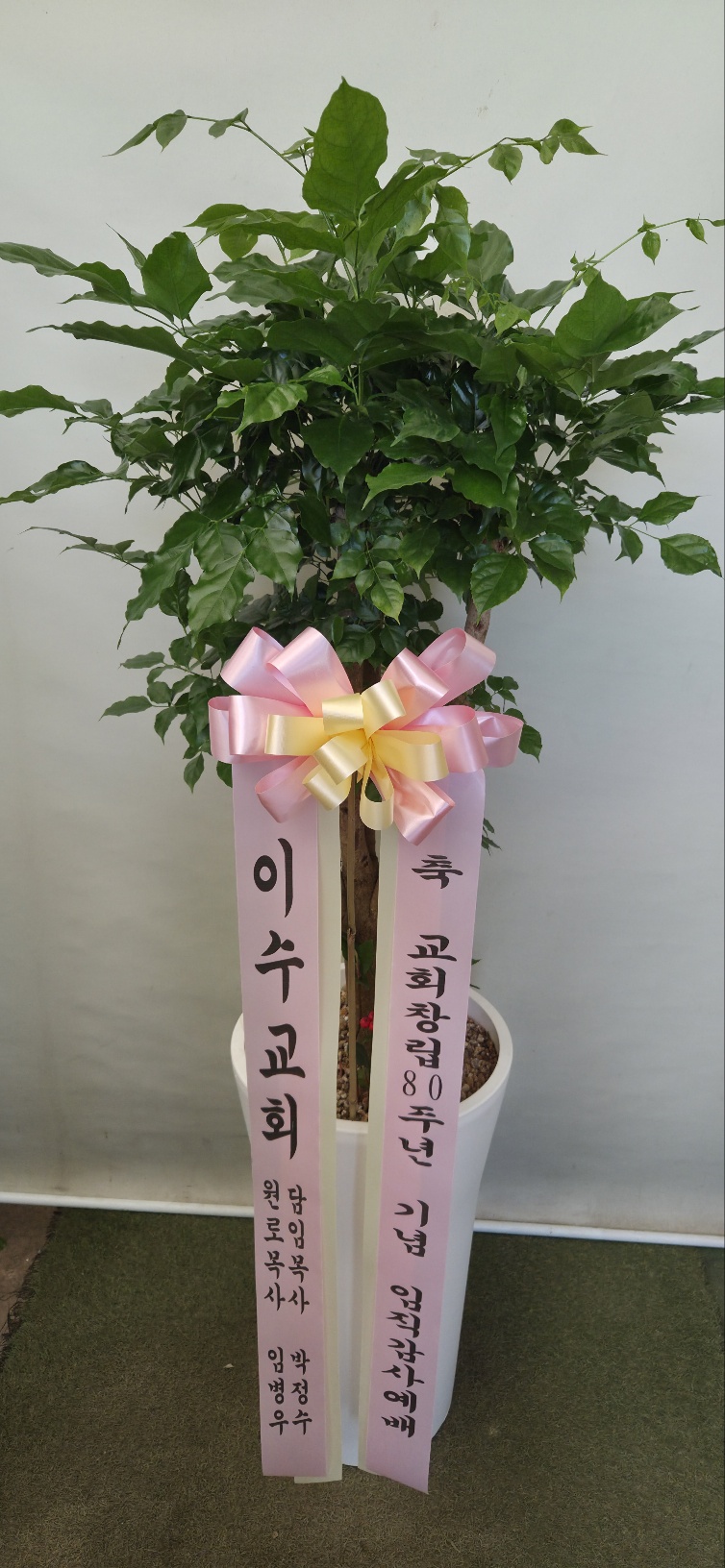 업로드 이미지