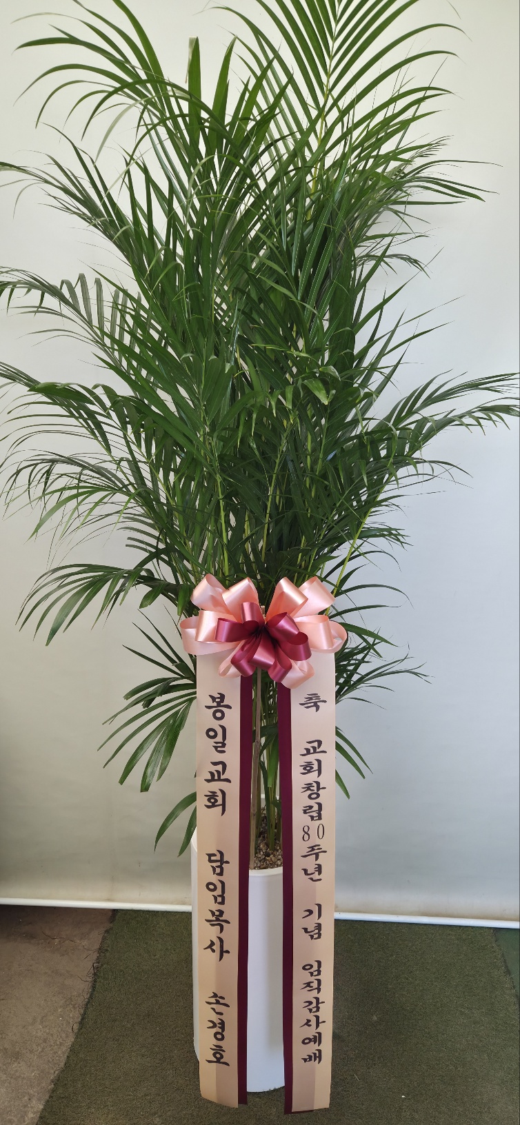 업로드 이미지