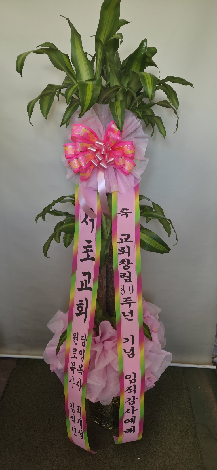 업로드 이미지