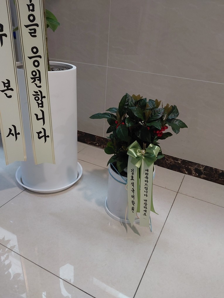 업로드 이미지