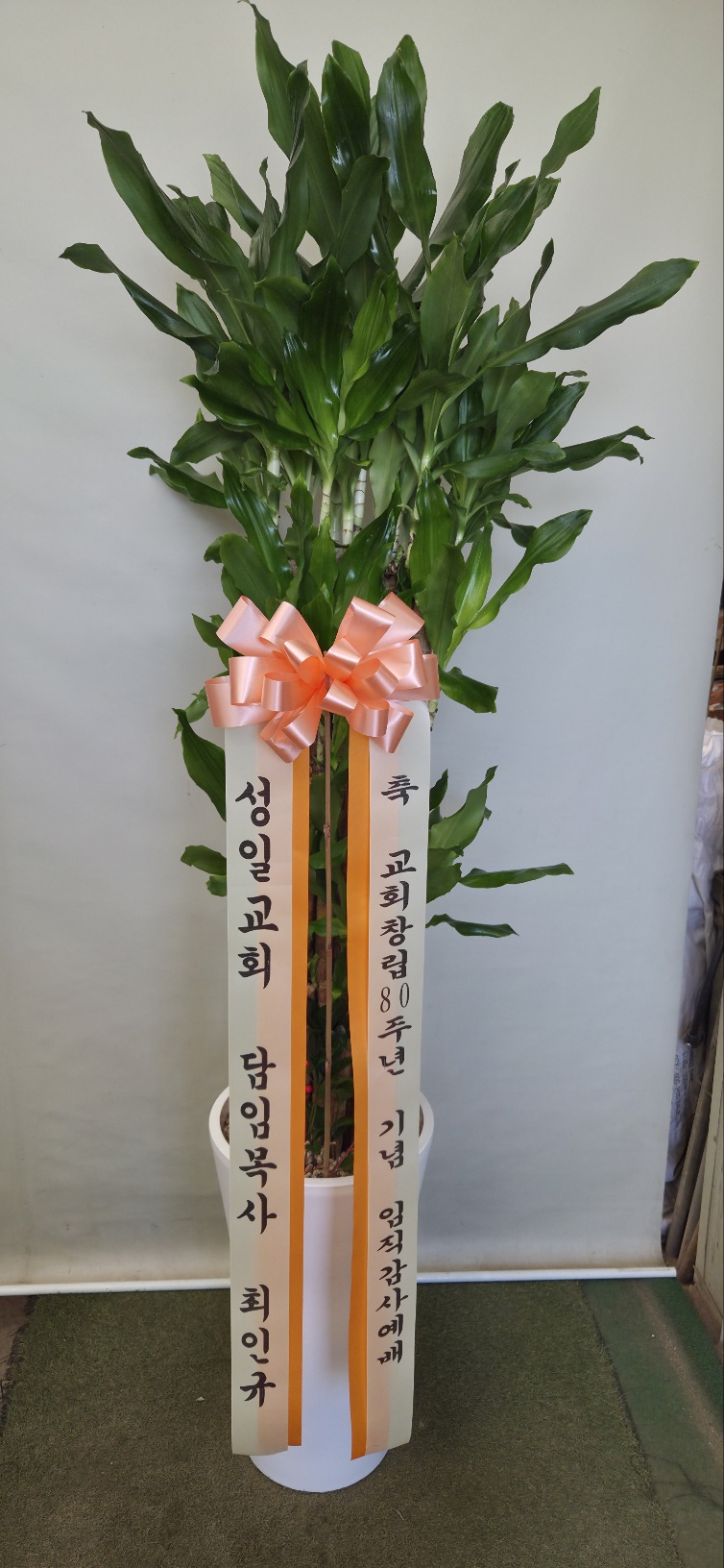 업로드 이미지