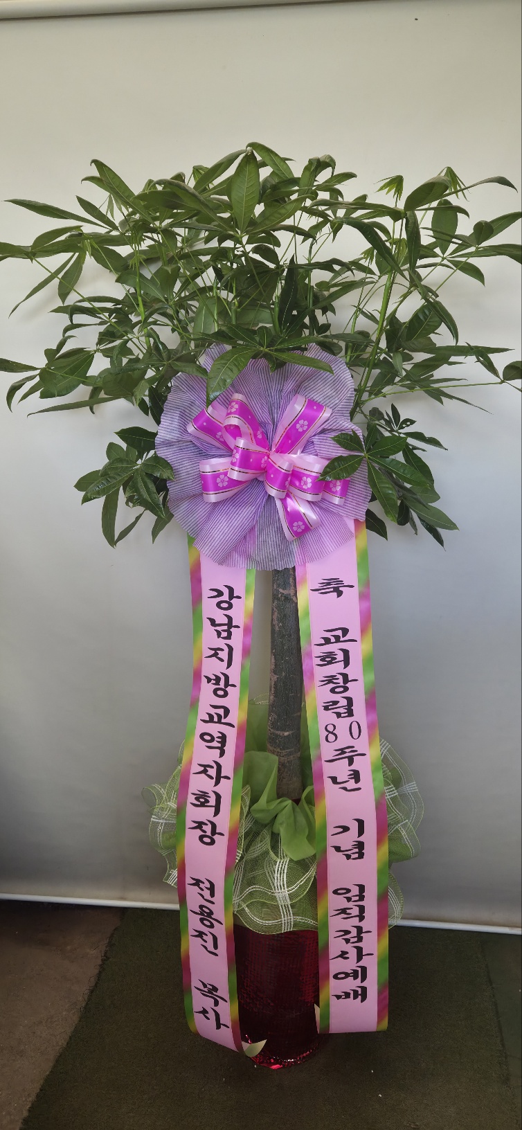 업로드 이미지