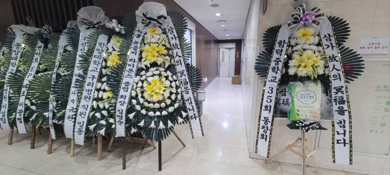 업로드 이미지