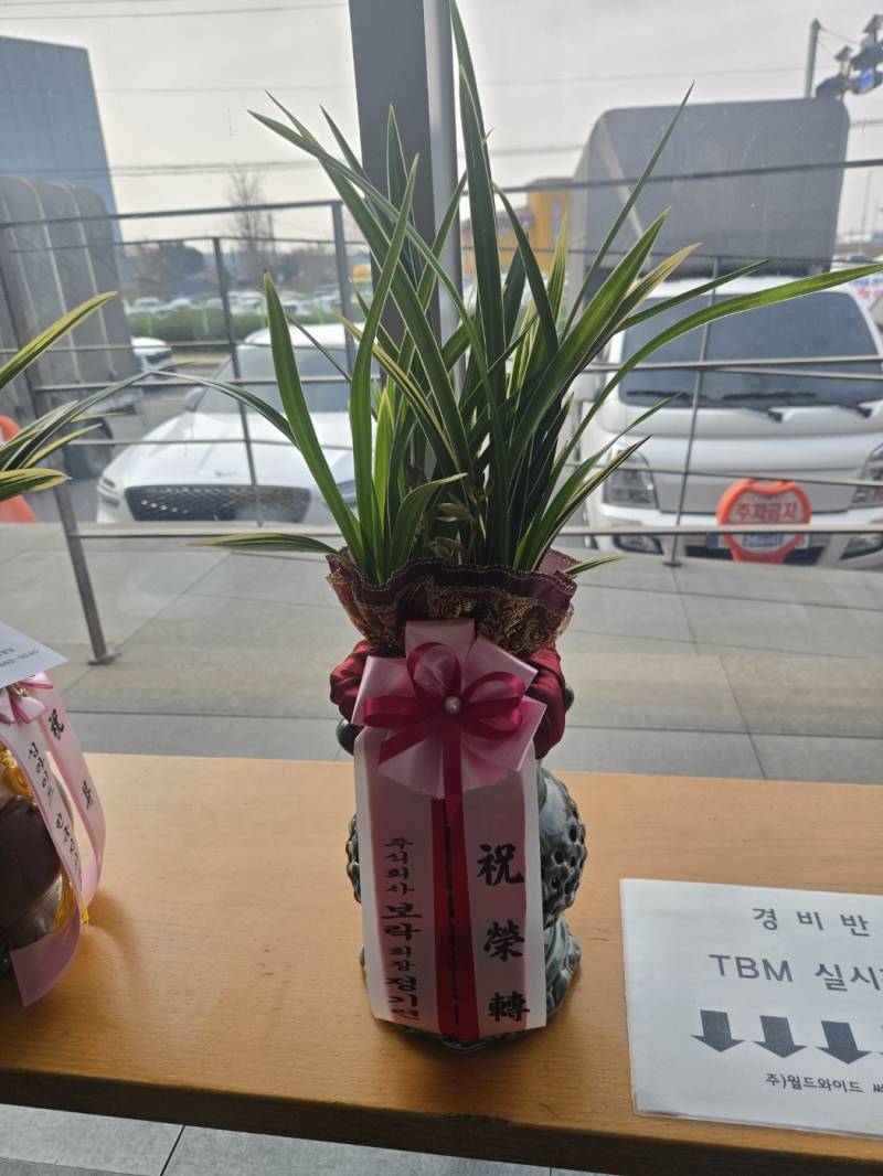 업로드 이미지