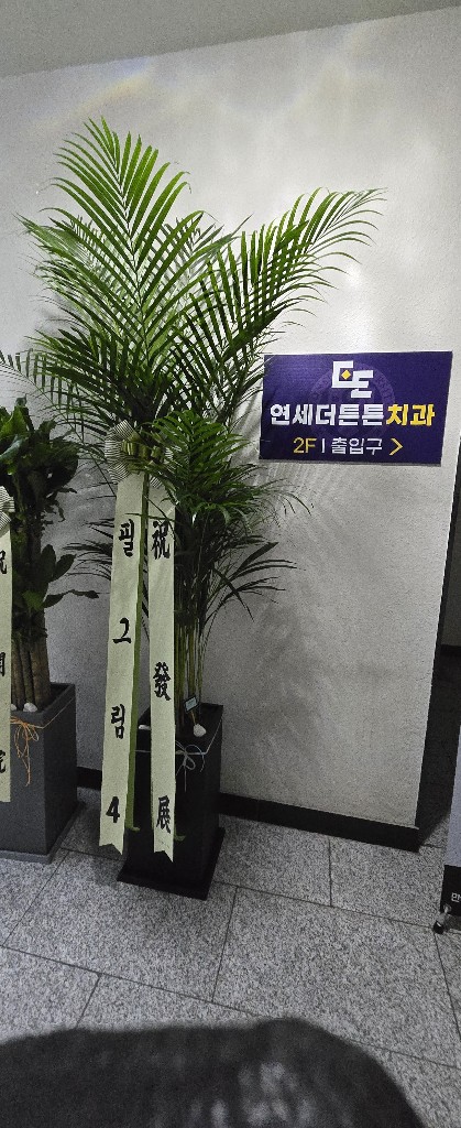 업로드 이미지