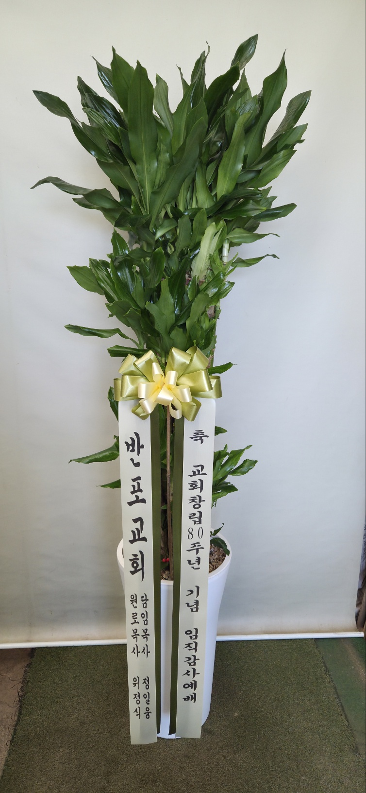 업로드 이미지