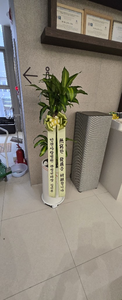 업로드 이미지