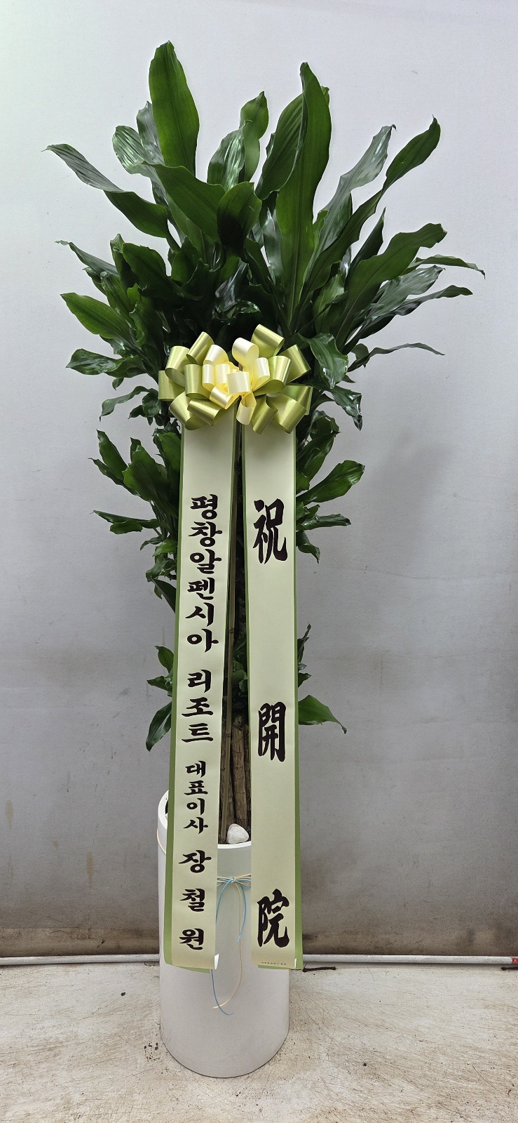 업로드 이미지