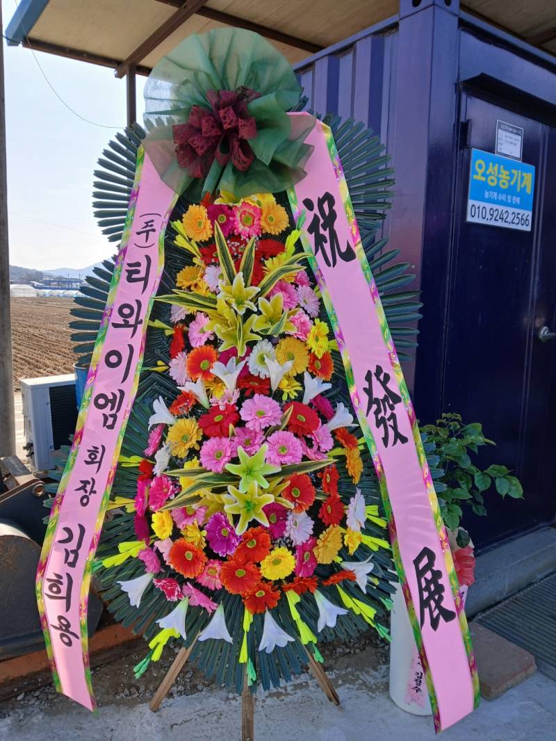 업로드 이미지