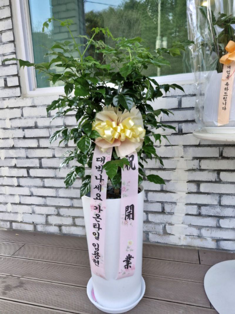 업로드 이미지