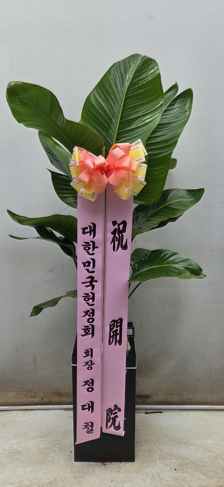 업로드 이미지