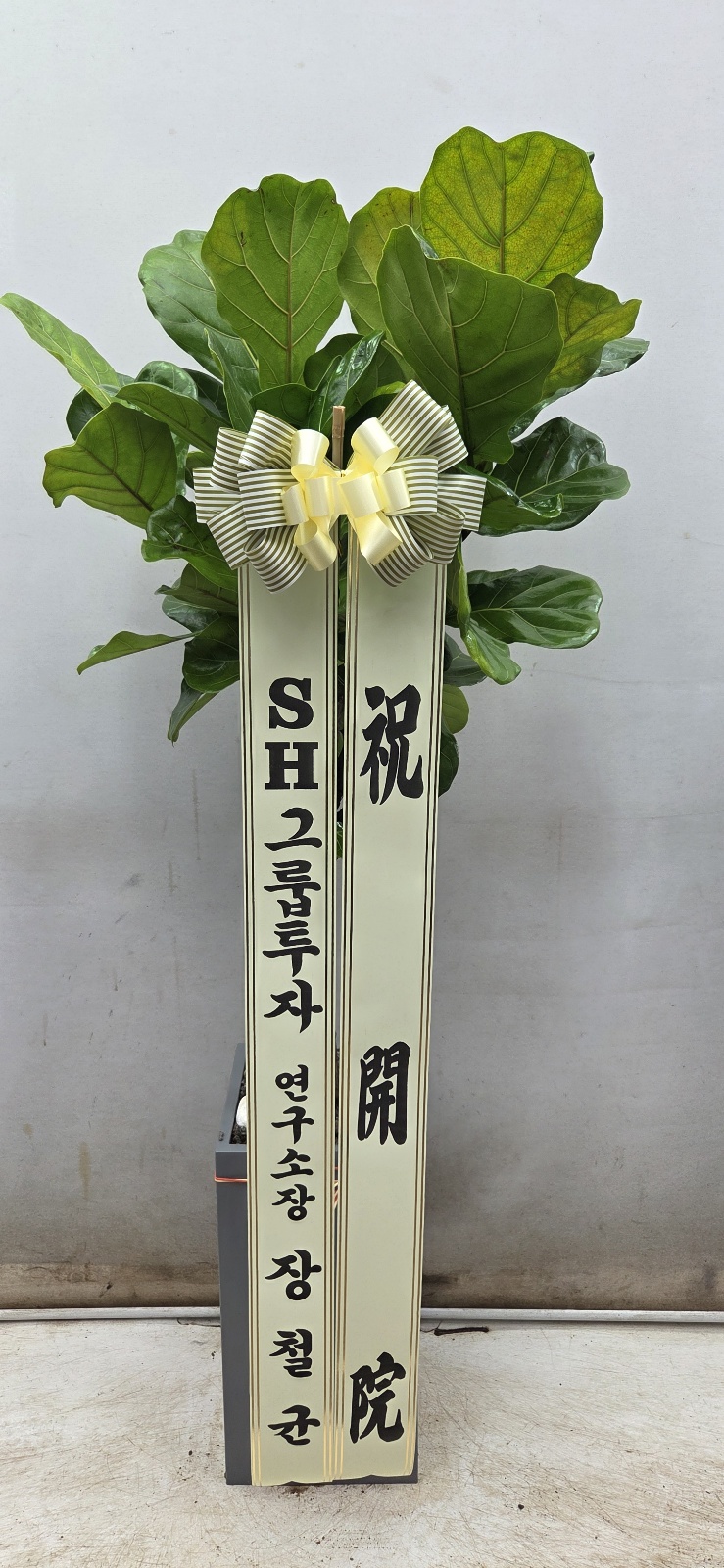 업로드 이미지