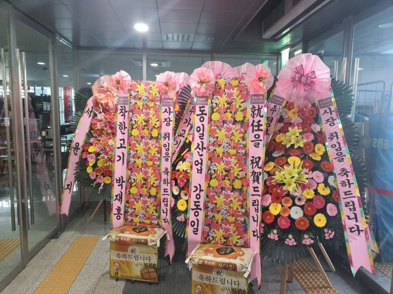업로드 이미지