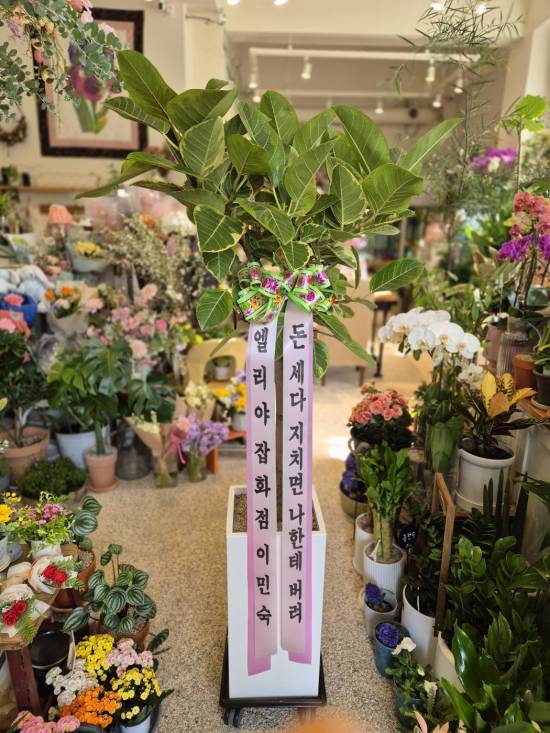 업로드 이미지