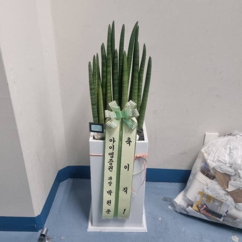 업로드 이미지