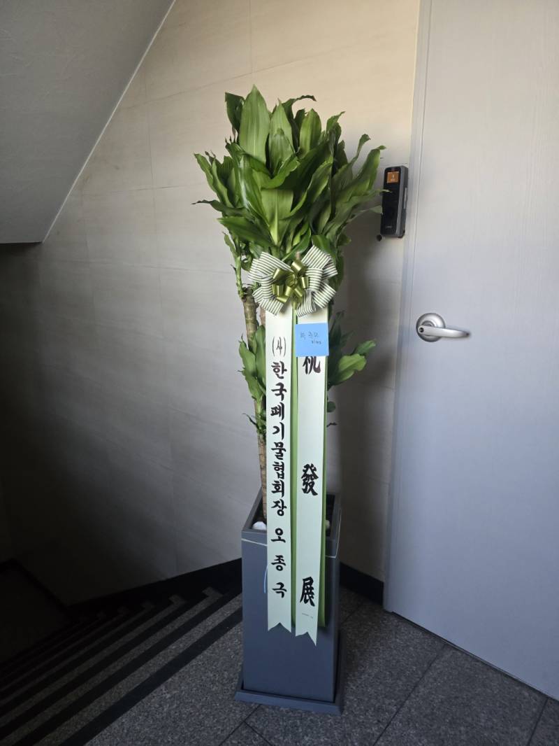 업로드 이미지