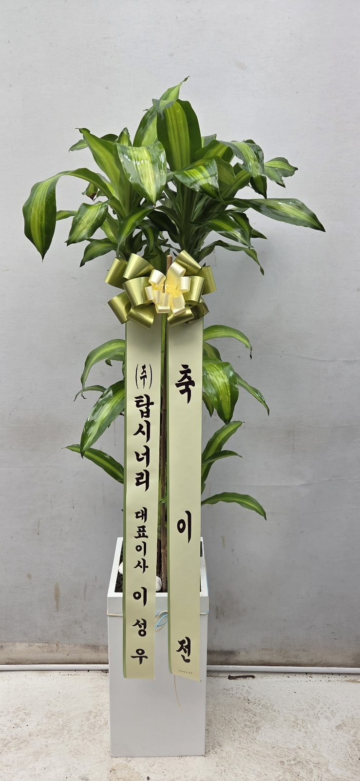 업로드 이미지