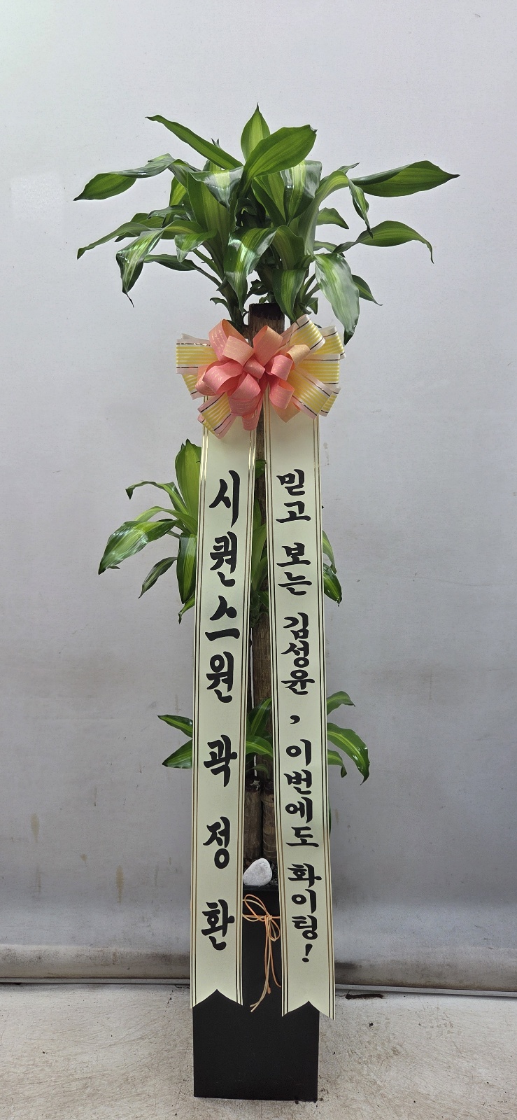 업로드 이미지