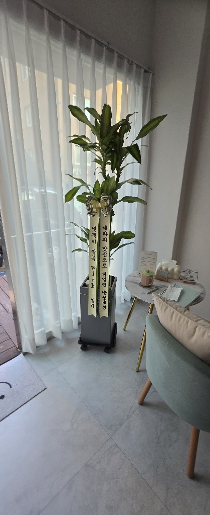 업로드 이미지