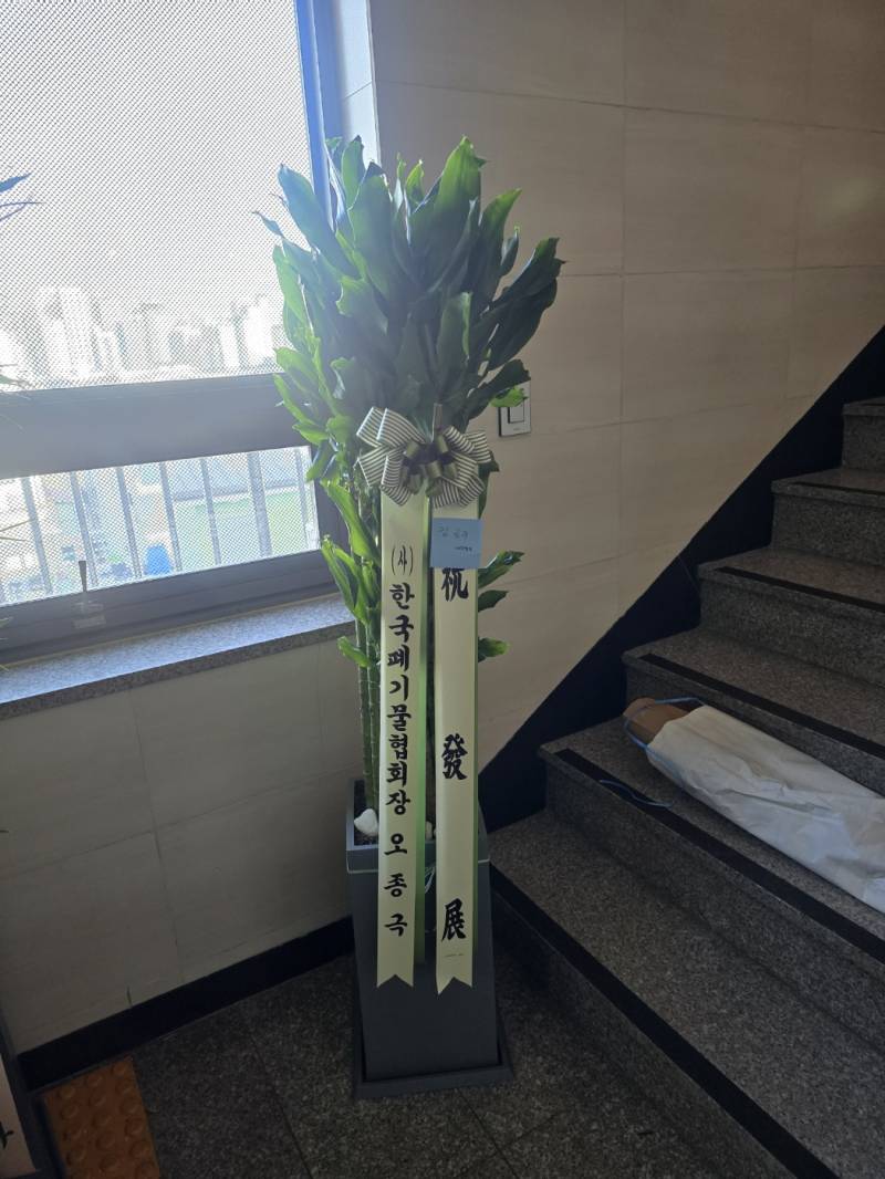 업로드 이미지