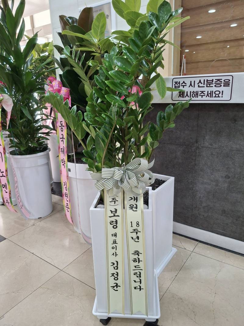 업로드 이미지