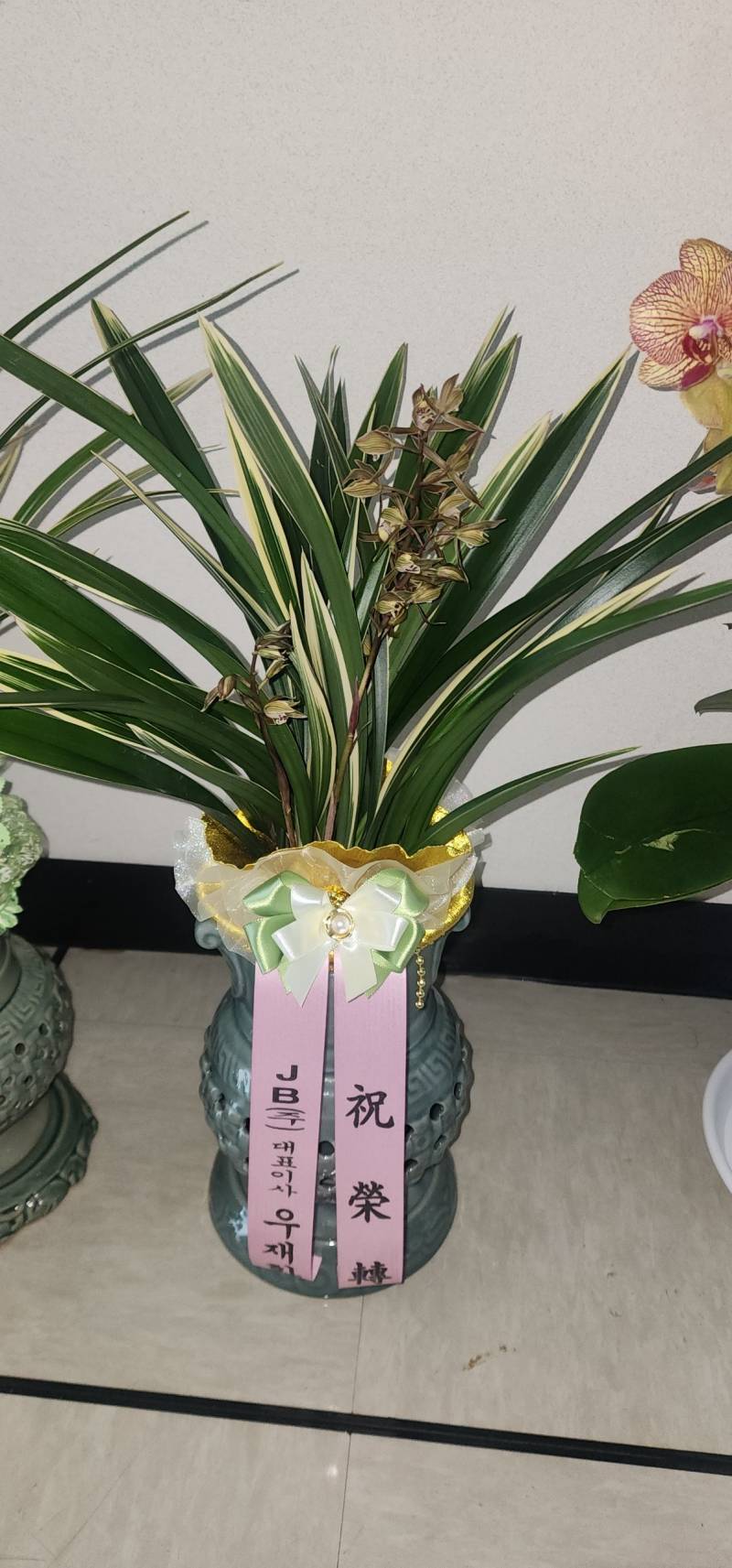 업로드 이미지