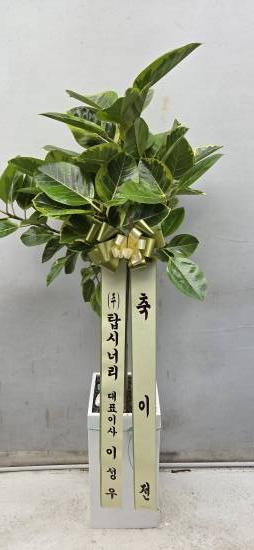 업로드 이미지
